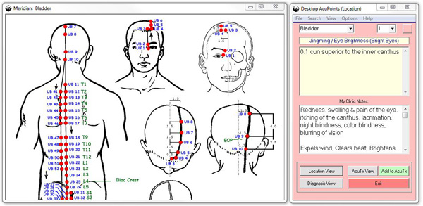 acupuncture software download